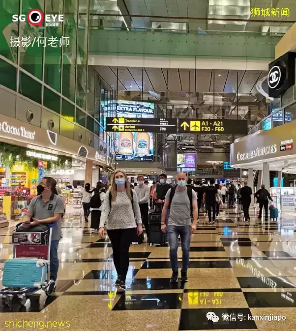 国际旅行复苏强劲,樟宜机场T4也要重开了;需引进外国劳动力满足航空业需求