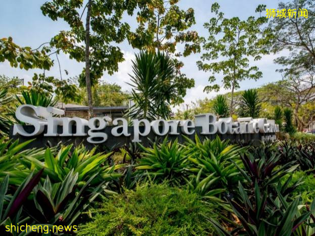 新加坡旅游局 x ABC Cooking Studio 对这座花园城市狠狠“新”动了