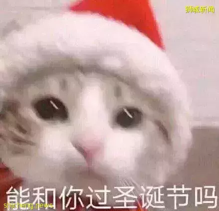 新加坡聖誕節不知道去哪過?看著一篇就夠了