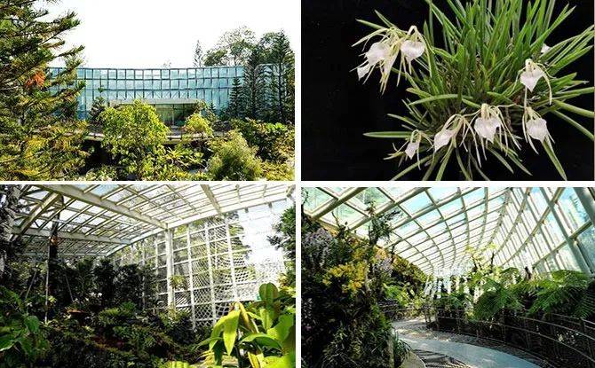 厲害了！新加坡封城一周年之際，狂開10個新景點准備迎外國遊客