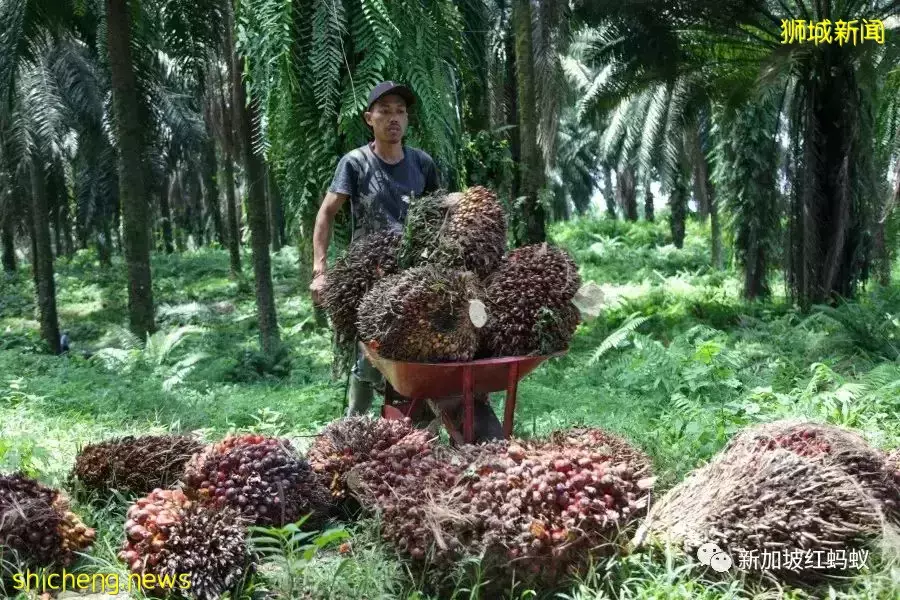物价飞涨声中,各地民众走上街头,世界局势越来越不明朗