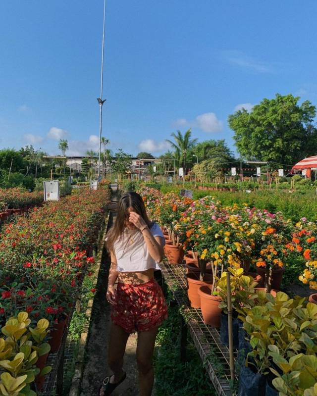 World Farm新加坡超大苗圃花市!绿植、盆栽、花卉都在这🌹 约会遛弯新去处