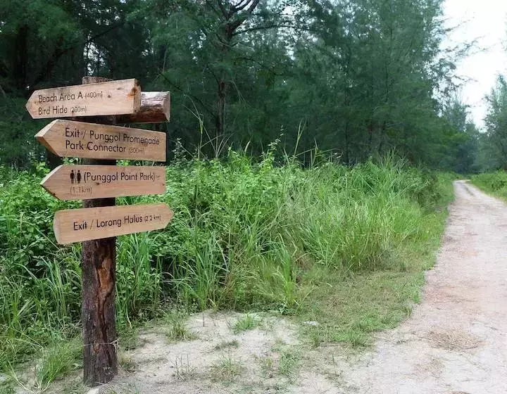 不用坐船,走路就能到!新加坡北部神秘離島,原始森林風光