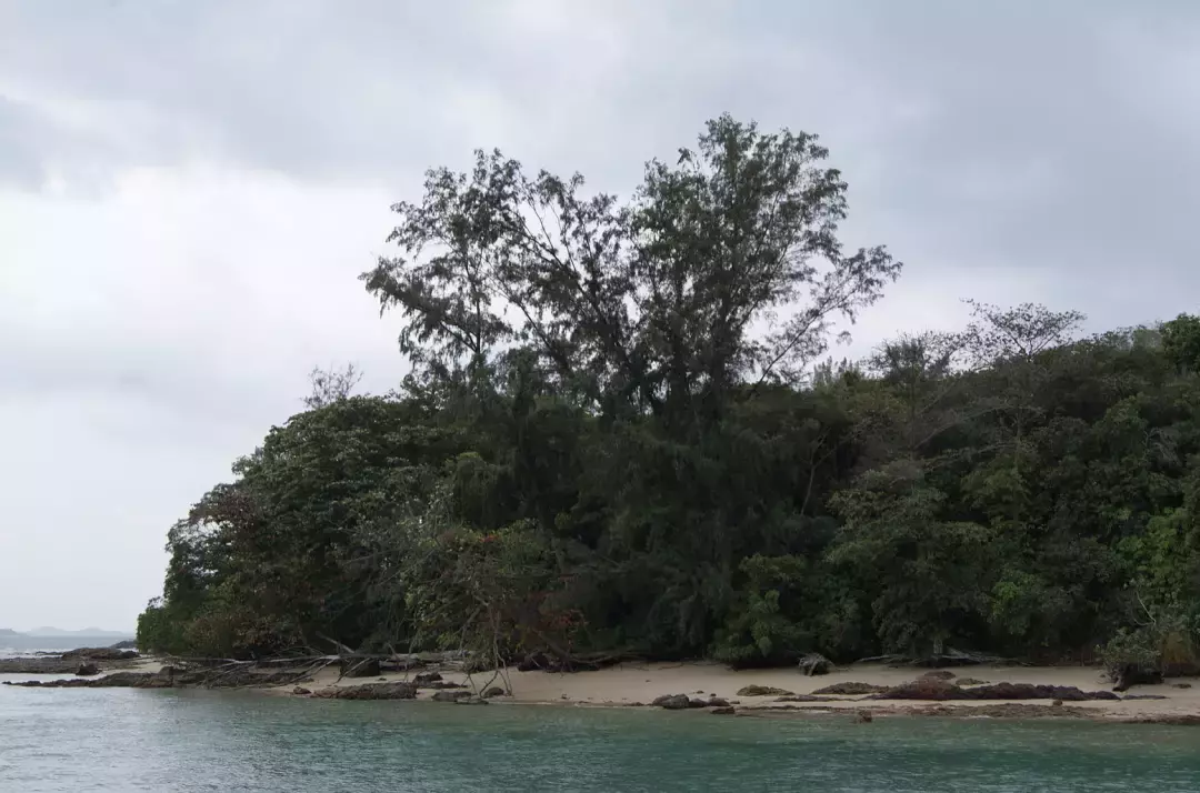 假期出遊第二彈 新加坡隱藏的“寶藏”勝地