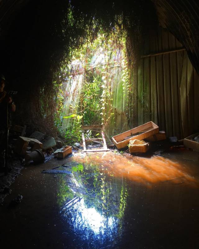 🚥通往裕廊的廢棄鐵路🚞 新加坡隱秘的角落,徒步探險、攝影愛好者秘密基地 🧭