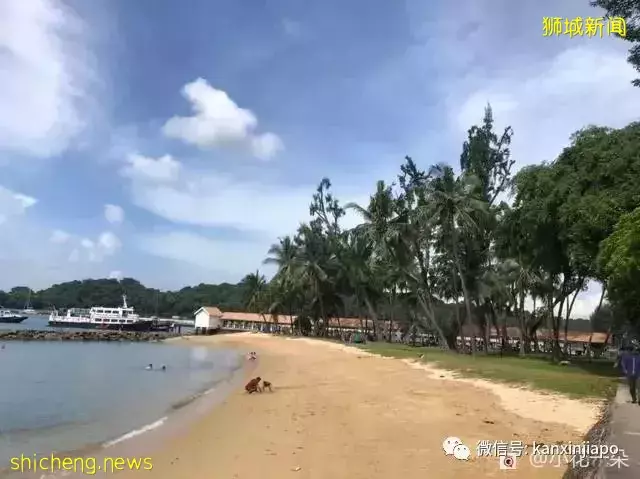 除了乌敏岛,新加坡还有这两个岛超适合出游