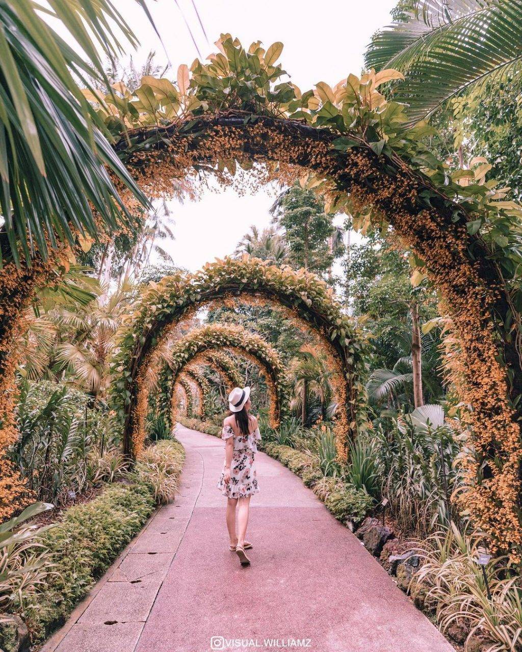 全球最大胡姬花卉展示地“国家胡姬花园”✨清新秀丽、沁人心脾,带你认识和了解我们的国花😎