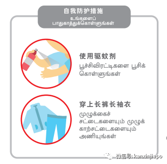 新加坡近3万人患骨痛热,入院11天生离死别,毒蚊带走健康母亲