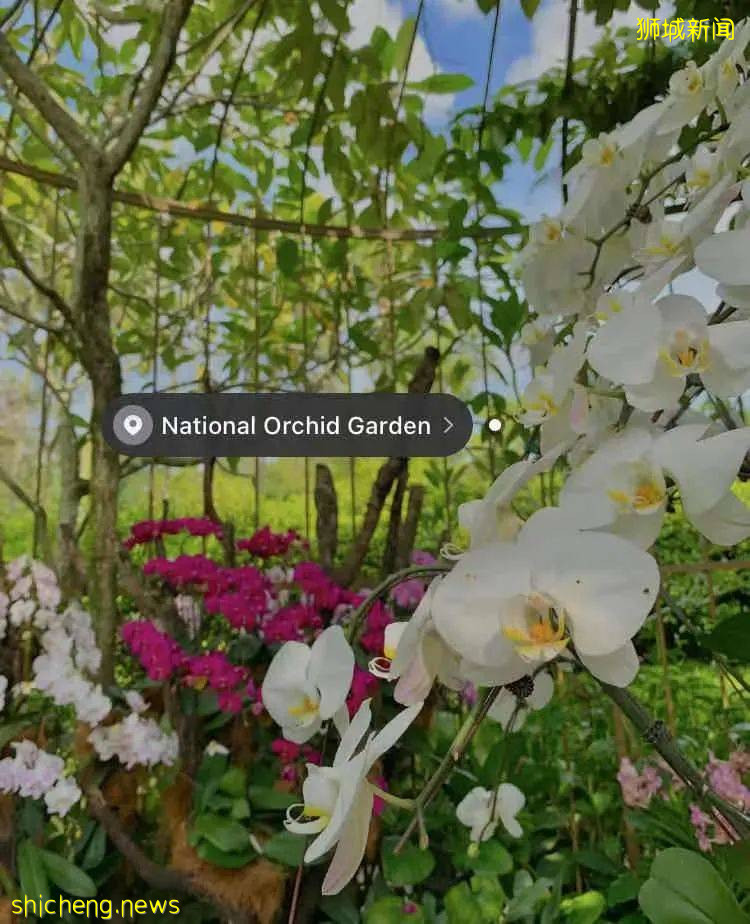 玩在獅城 盤點全島這15個免費景點，讓你玩的省錢又開心