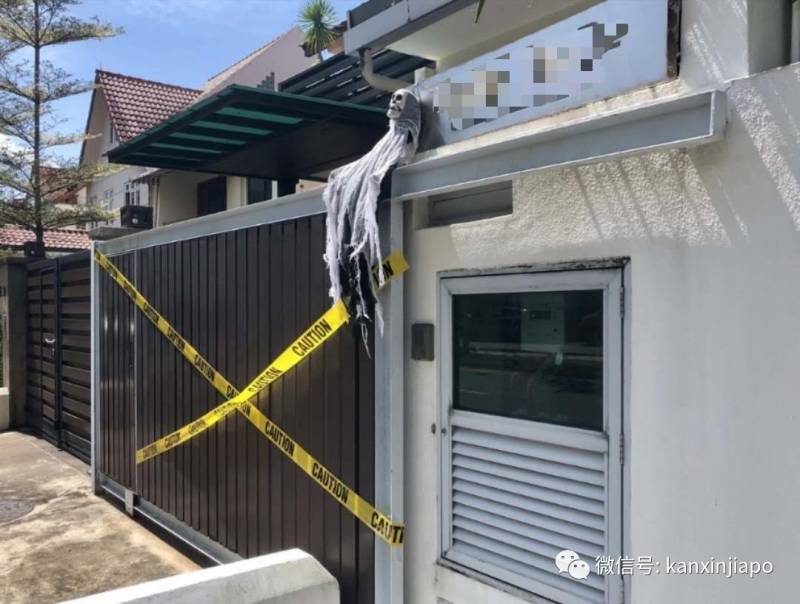 新加坡這條街,前晚出現大量蜘蛛和骷顱頭