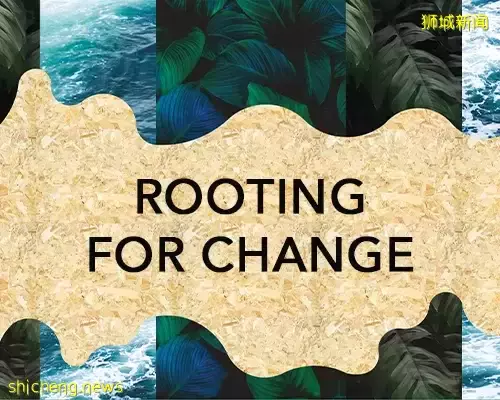 遊覽攻略 新加坡這4個推薦打卡的博物館，非常值得一遊！您去過了嗎