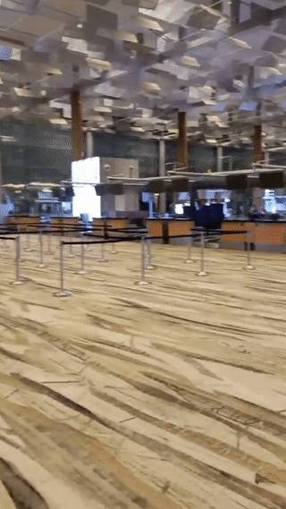 实拍!樟宜机场变样了~ 新航半年净亏损34亿新币