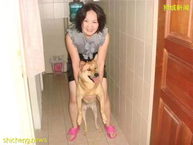 “我最亲爱的四喜走了,带走了我在新加坡16年的青春和回忆...”