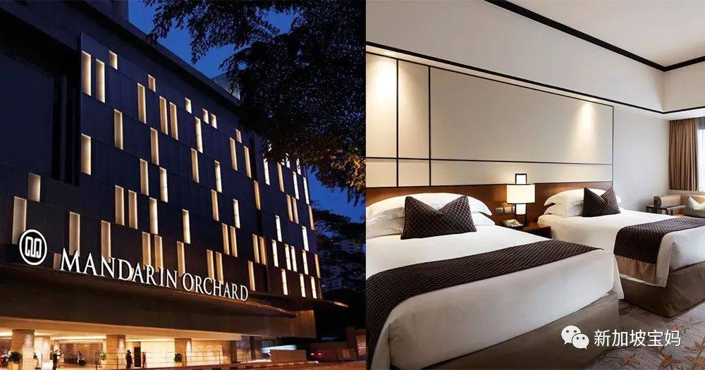 新加坡折扣 五星級酒店免費住；米其林拉面買一送一；費列羅半價