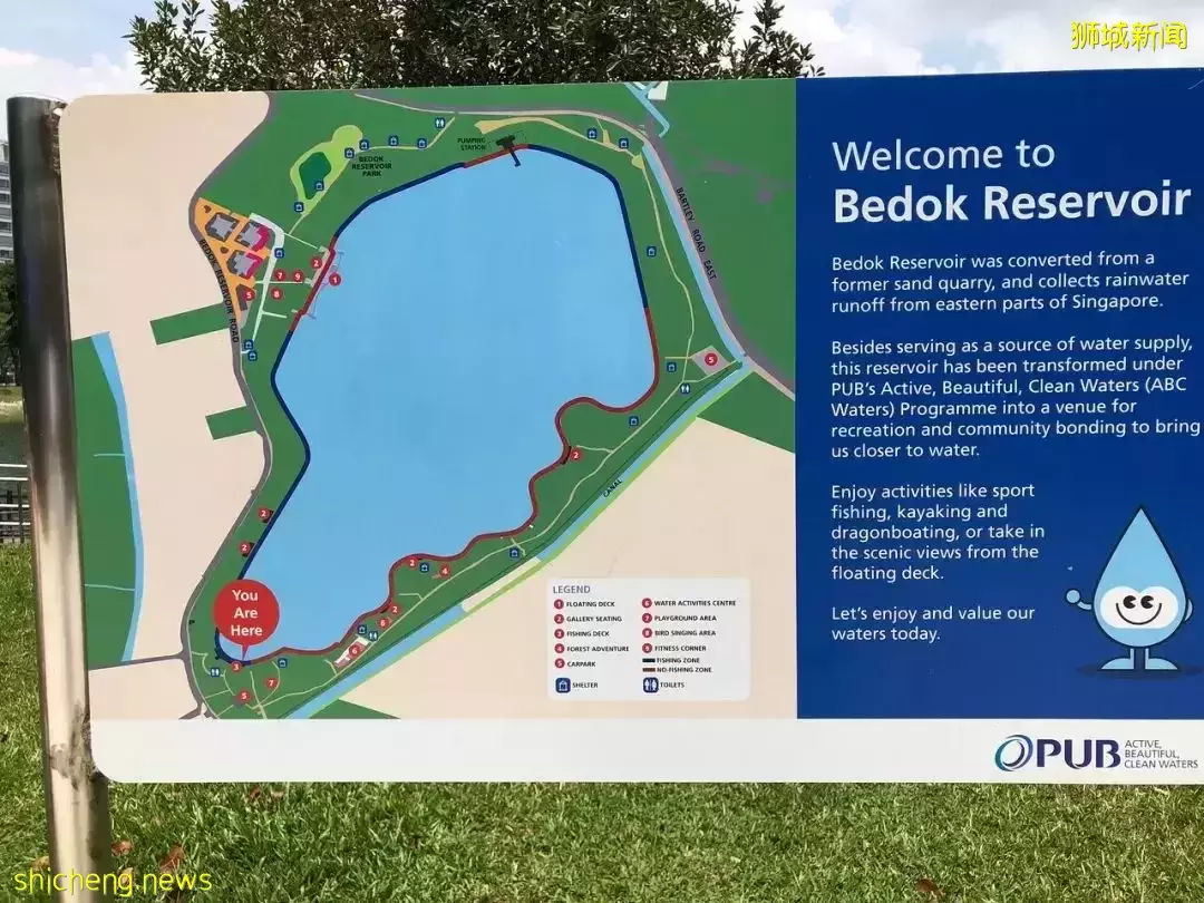 超级奶爸!带着2岁女儿骑行17小时166公里,环游新加坡