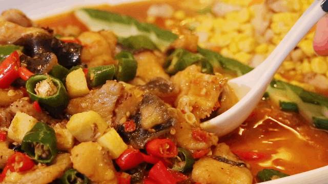 奶茶無限喝，新菜$11.11嘗鮮！川香小廚雙十一齊狂歡！好禮無限