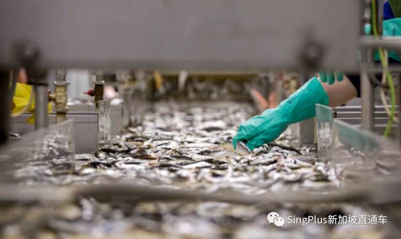 紧急!华人餐桌上常见的食物查出“新冠活病毒”!接触就可能感染