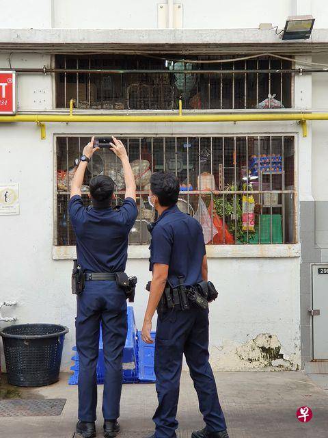 咖啡店素食摊出现蟒蛇