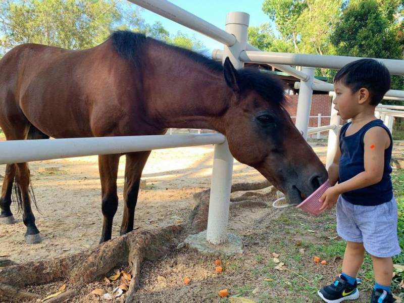 周末新玩法！新加坡騎馬好去處Gallop Stable🐎 一站式體驗活動！走進動物世界騎馬餵小兔🐰🐎