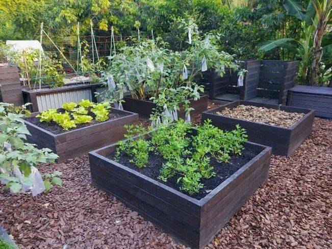 【周末去哪】218米觀景台免費,$12皮劃艇,5折耐克,母嬰特賣