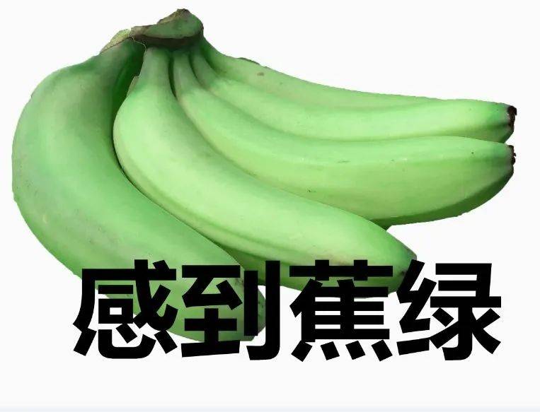 中國到新加坡海運費暴漲！網友吐槽：恐怕是10年最高