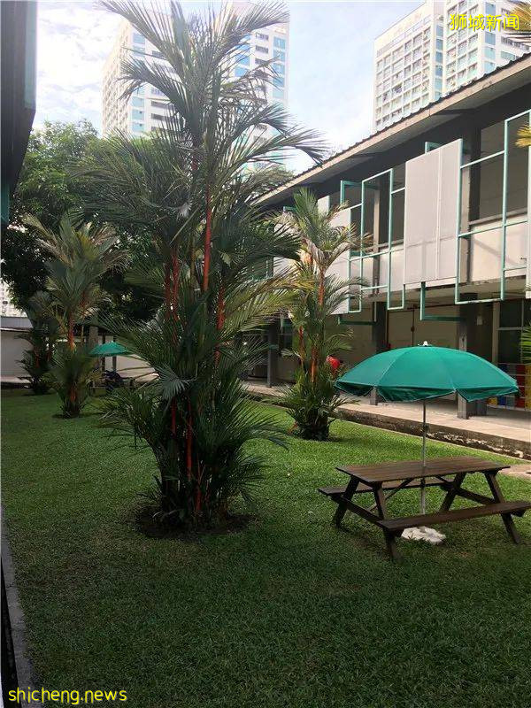 新加坡留學 就業好，認可度高！新加坡留學選這一專業，穩了