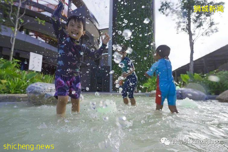 新加坡6个公园关闭水上娱乐设施至本月底