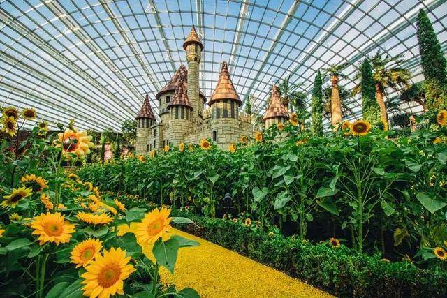 新加坡10个最美公园告诉你,花园城市有多美