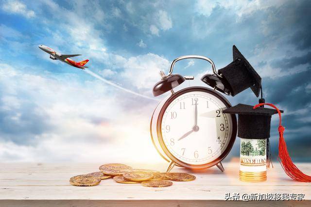 都說新加坡教育制度好，想了解新加坡入學和升學途徑的看過來