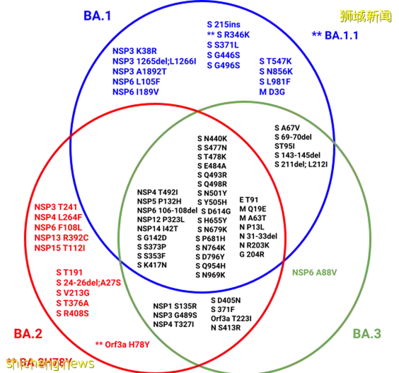 她感染后，检测阳性长达20天！新加坡或更多人第2次感染！专家：重症患者手脚发黑