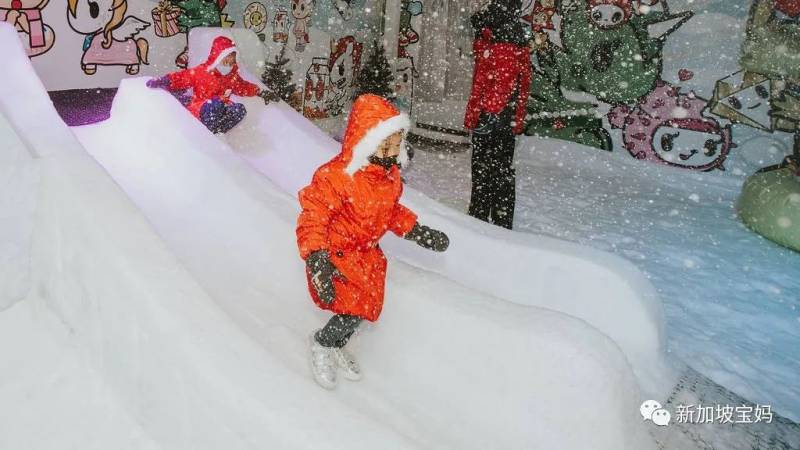 年末就是要狂歡！2020年最後一個月，還能帶娃在新加坡做點啥