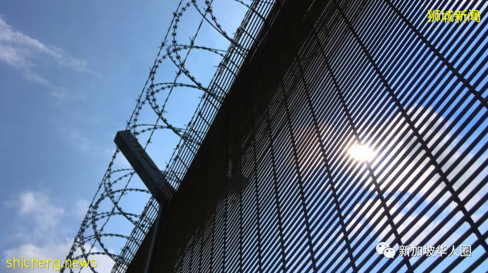 3099例，14人死，新加坡總理​：各國重開邊境，才能從疫情中複原​