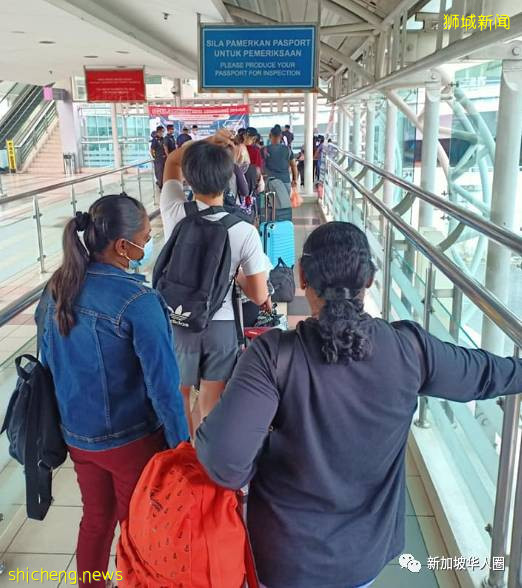 回新加坡后网友感叹,3个月手停口停,没中病毒,先饿死了