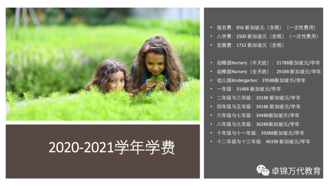 2021新加坡萊仕國際學校Nexus