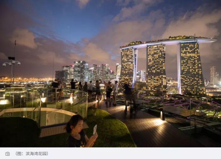 擎天树观景台开放，打卡尽览海滨湾