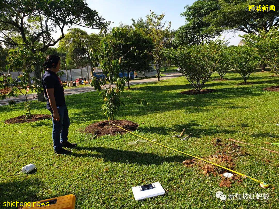 新加坡明明无天灾，为何要在全岛勘探地底结构评估地震风险