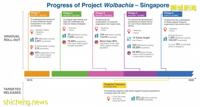 新加坡投放攜帶沃爾巴克菌雄蚊對抗登革熱