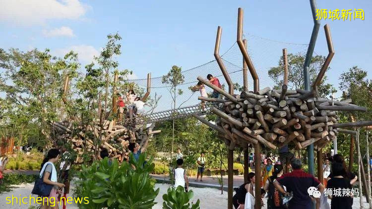 新加坡本地孩子都愛去玩的10個兒童公園，鍛煉身體，結識新朋友 .
