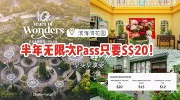 滨海湾花园富贵牡丹花卉展来了!与本地博物馆同时展出古董文物,值得一逛👍