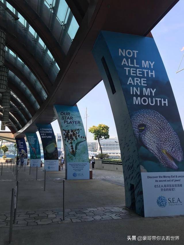 新加坡不枉此行的10大看點（中）分三集介紹