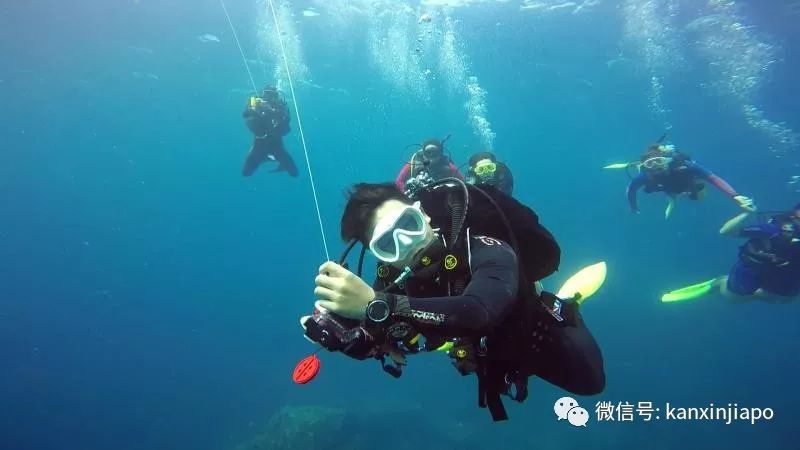 640?wx_fmt=jpeg&tp=webp&wxfrom=5&wx_lazy=1