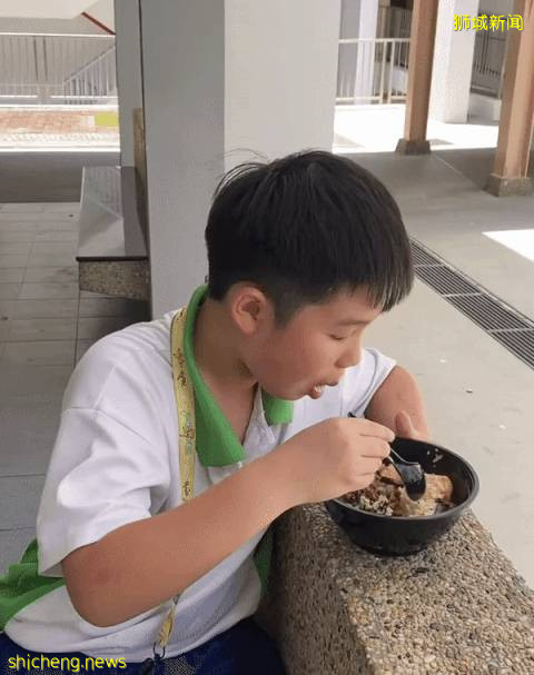 这碗海鲜丼逆天了,超级赞!必吃!新加坡网红日料店请大家免费吃