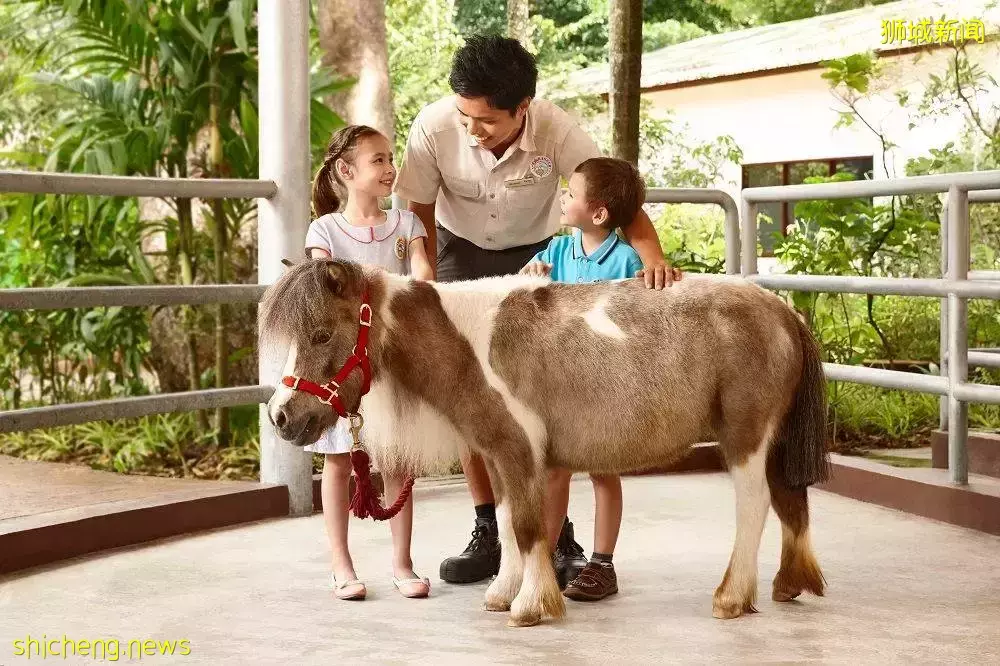 5月1日起入境新加坡可使用IATA通行證，新加坡親子遊攻略