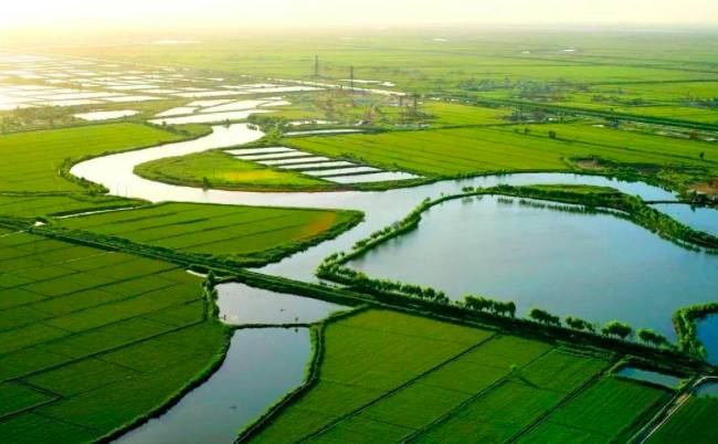 新加坡终于有好吃的东北大米啦!一经上市就被抢购一空!快来尝鲜吧