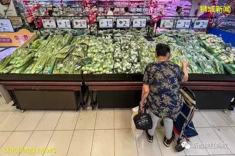 疫情期间有钱无处花 新加坡2020年个人存款总额达1030亿元