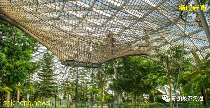 最新总结 新加坡周末溜娃绝好去处