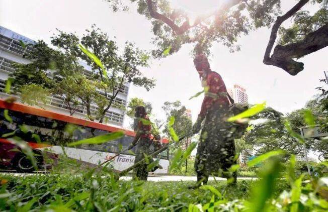 2020年你眼中的新加坡回憶有哪些?走進膠片記憶