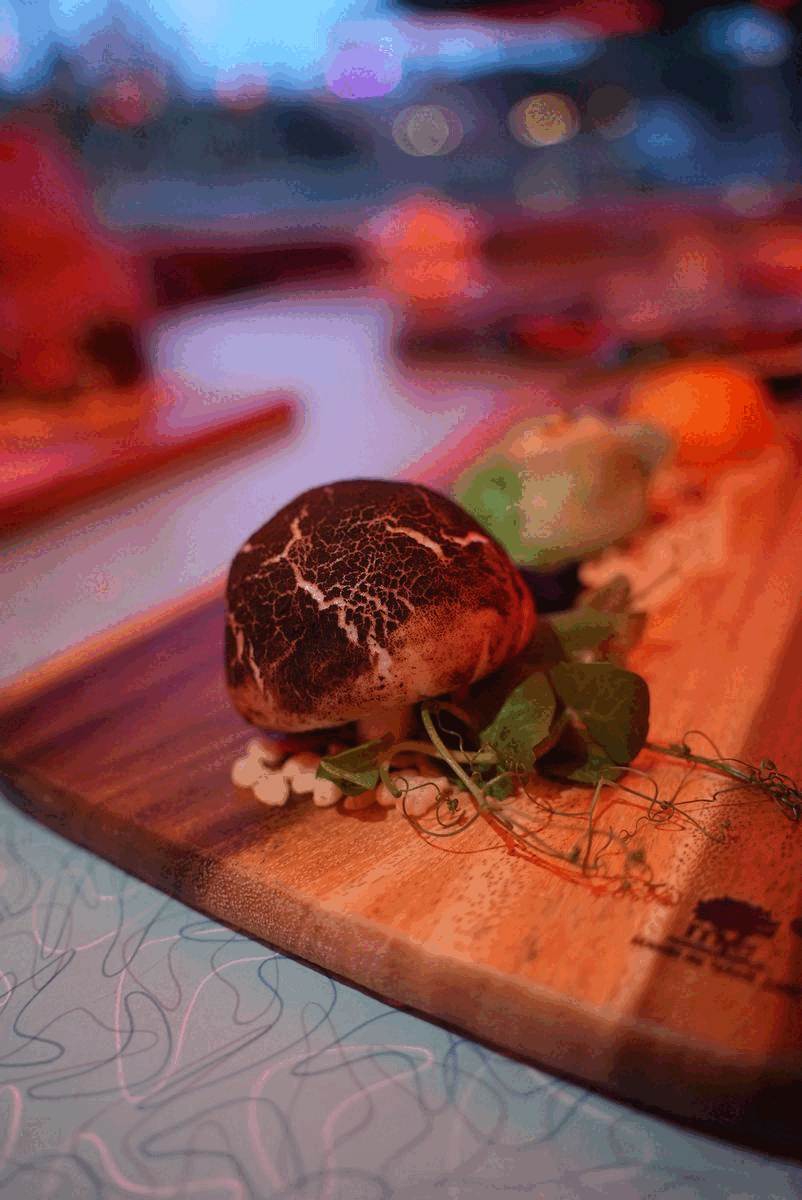 搶票，僅2天！新加坡環球影城新春活動不用排隊！酒水無限暢飲，功夫熊貓等武術表演太刺激了