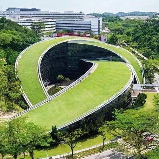 新加坡留學申請