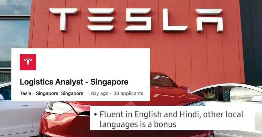 应聘新加坡特斯拉的物流分析师却被要求流利印度语？